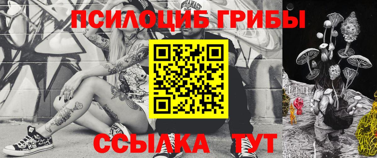 Галлюциногенные грибы Cubensis Северск