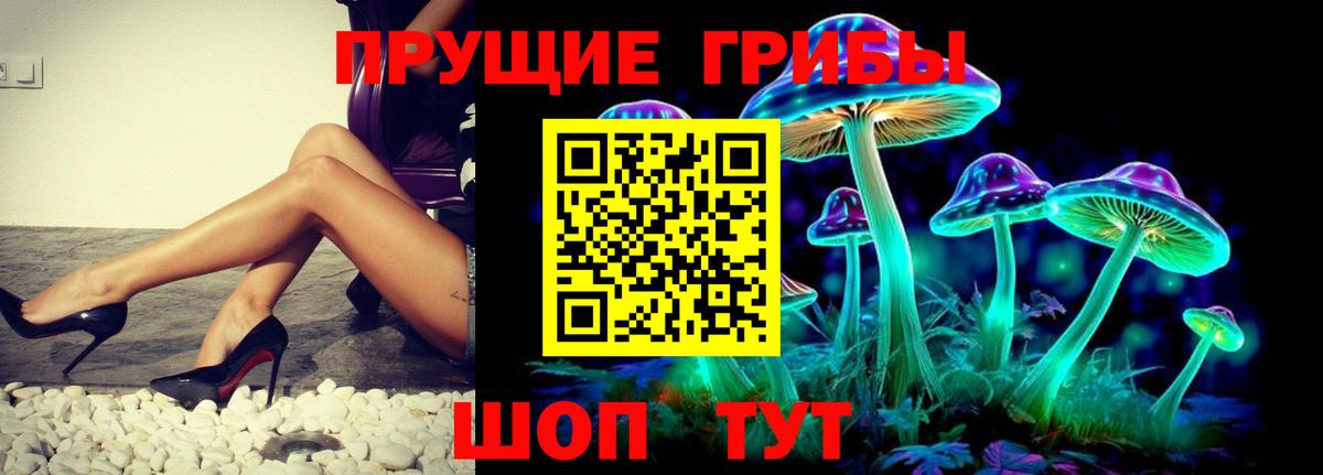 Галлюциногенные грибы Psilocybe  Вход с VPN  Северск 
